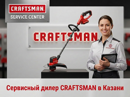 Ремонт триммера Craftsman в Казани
