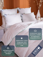 Одеяло пуховое лёгкое Летний сон Евро 200х200