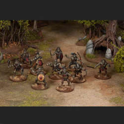 WAACF004 Goblin Warband