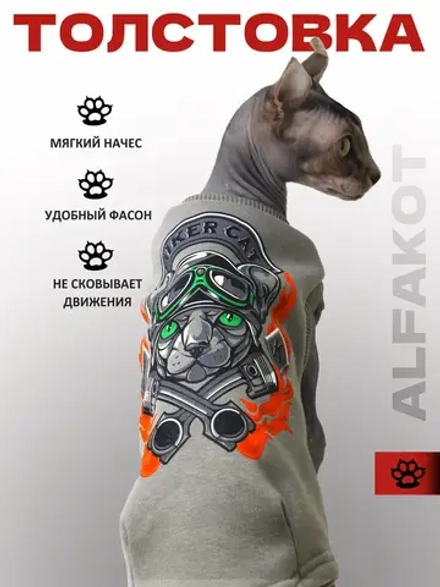 Одежда для кошек сфинкс