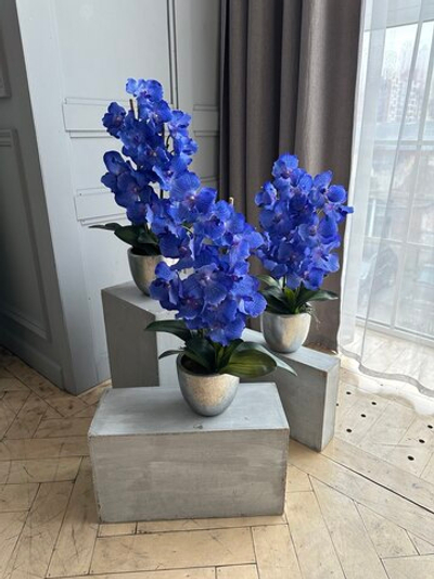 Фаленопсисы в кашпо, в-64 см