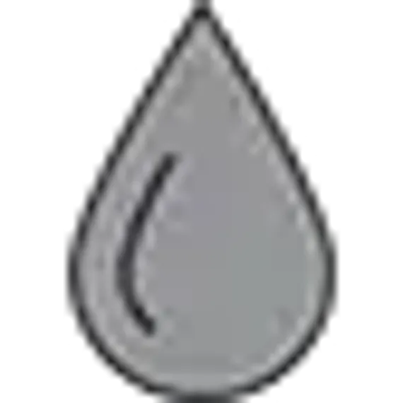 Garmin Forerunner 55 серые