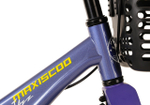 Maxiscoo JAZZ Pro 14'' (2024)