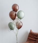 Воздушные шары №5329