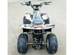 Электроквадроцикл Green Camel Гоби K50 (36V 800W R7 Цепной привод)