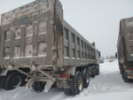 Shacman (Shaanxi) SX* 8x4 Самосвал SX33186W366C (Дизельный, 10,8 л, 441 л.с., МТ)