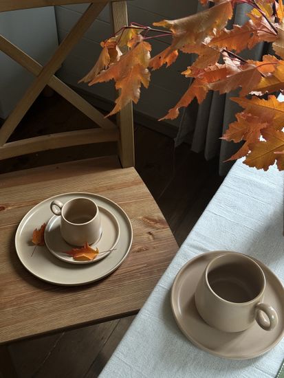 Набор из двух тарелок бежевого цвета из коллекции essential, 25 см