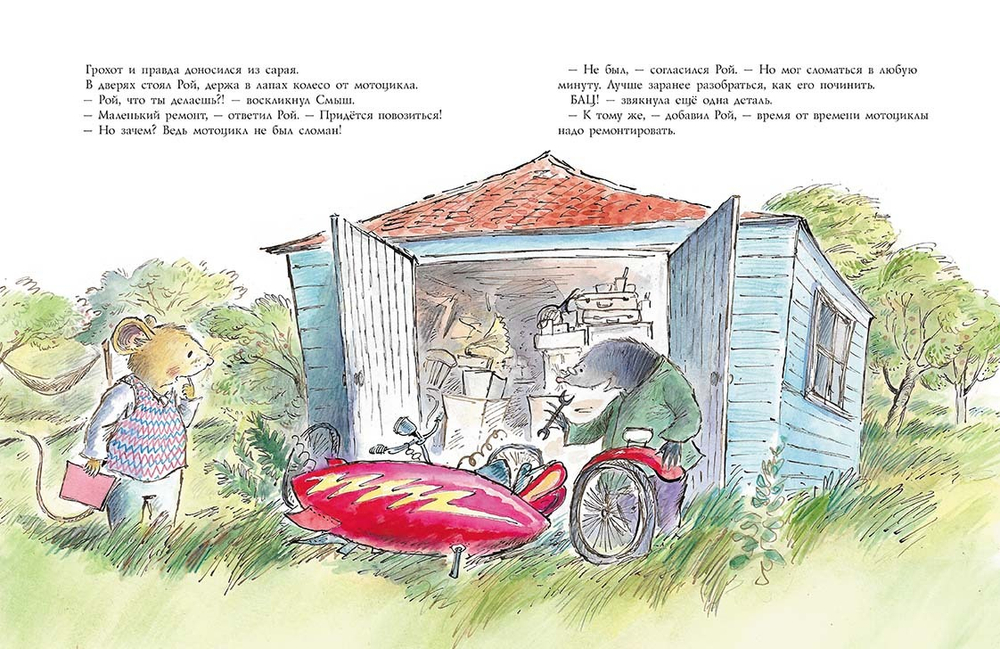 Смыш и Рой. Время чудес