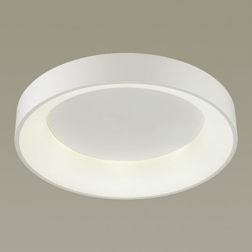 Накладной светильник Odeon Light 4066/40CL