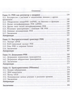 РНК: синтез и функции