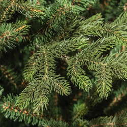 Ель искусственная Царь елка Ева 45 см ЕВ-45