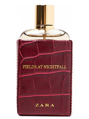 Zara Fields at Nightfall