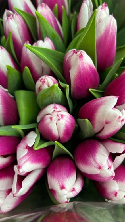 14 букетов по 7 шт. в прозрачной упаковке