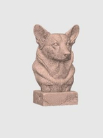 Корги