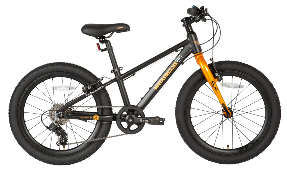 Детский велосипед Maxiscoo 5Bike 20'' Boy (2024)