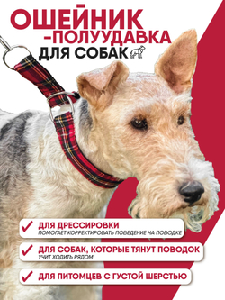 Ошейник полуудавка для мелких и средних собак, М