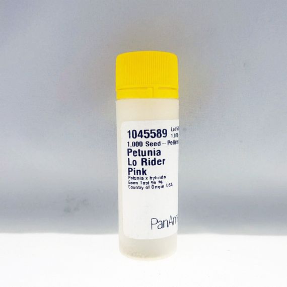 ПЕТУНИЯ LO RIDER PINK | Alexagro
