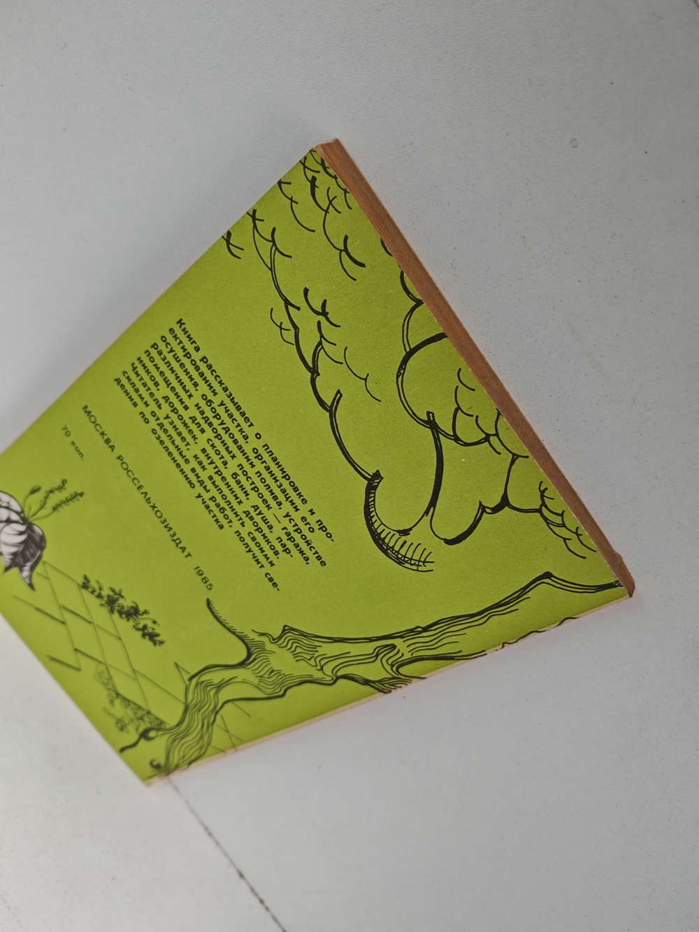 Благоустройство приусадебных участков