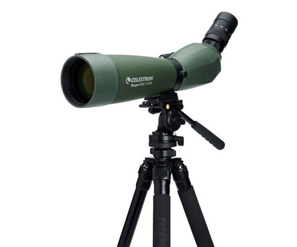 Celestron Regal M2 80 на штативе