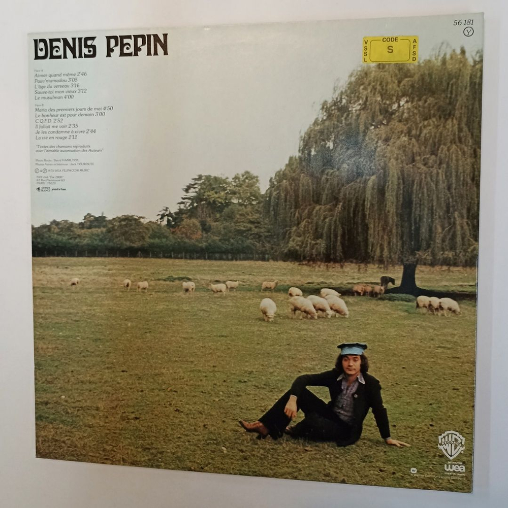 Винтажная виниловая пластинка LP Denis Pepin C.Q.F.D. (France 1975)