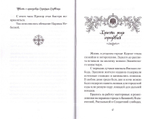 Повесть о преподобном Серафиме Саровском. Валентина Карпицкая