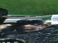 Решетка радиатора KIA Sorento 2 XM (2012-2021)