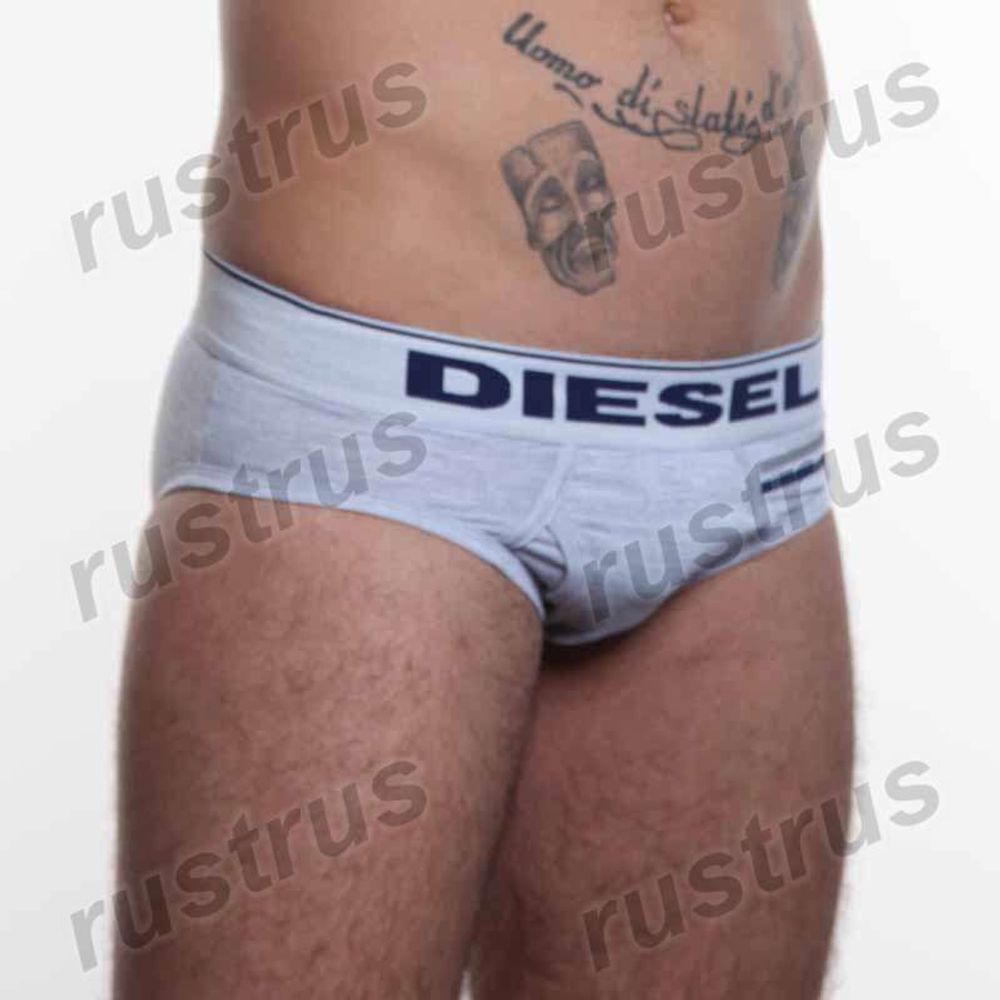 Мужские трусы брифы серые DIESEL DIS0092