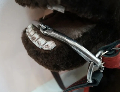 Узда красная