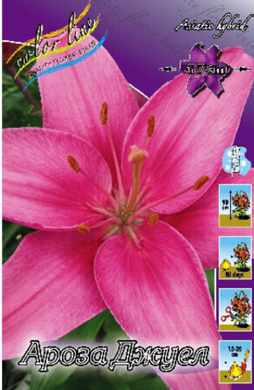 Лилия Ароза Джуел