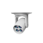 Wash Zoom Bee Eyes 4x40 Вт