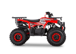 Квадроцикл WELS TRAIL 125