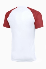 Футболка Nike Dri-FIT Academy II - белый