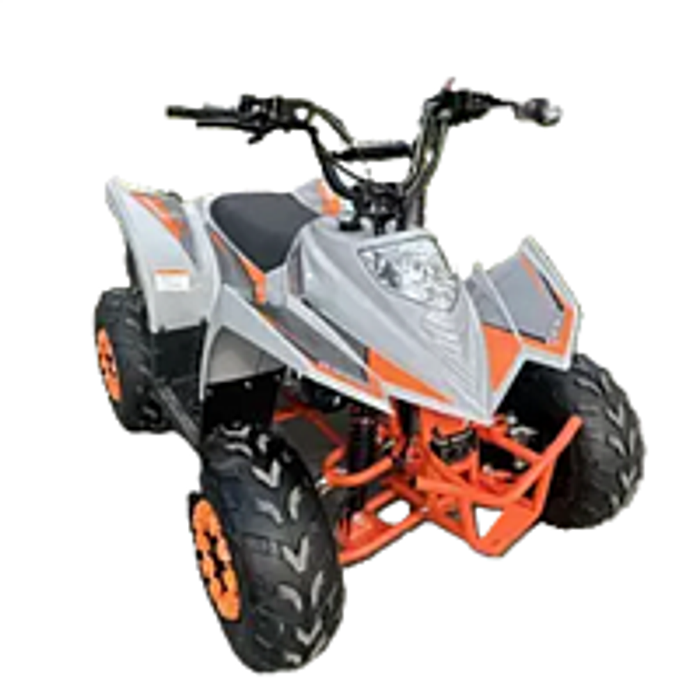 Квадроцикл MOTORHEAD IronFist 2025