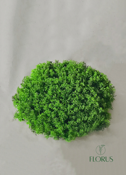 Ягель "Королевский", 1кг