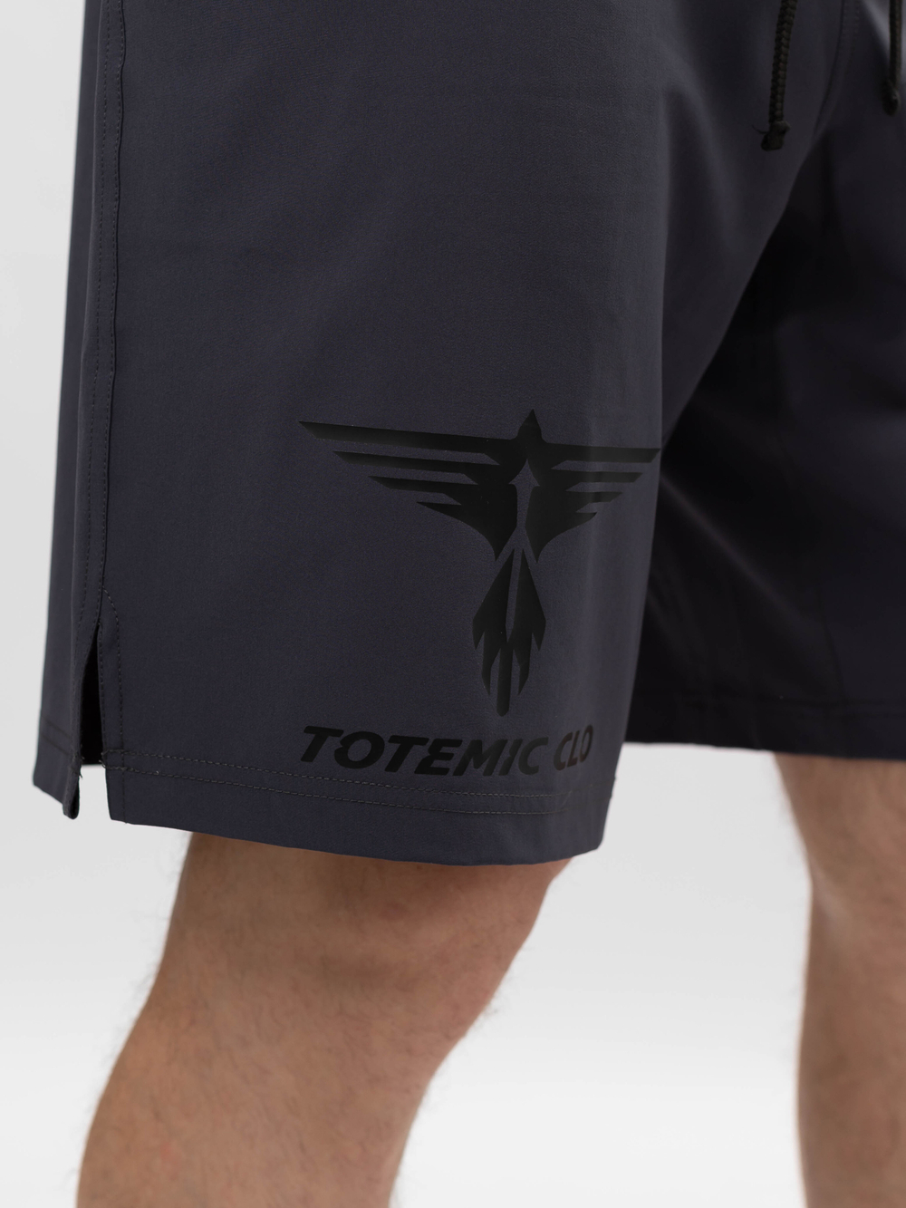 Шорты TOTEMIC CLO Dry Touch графит