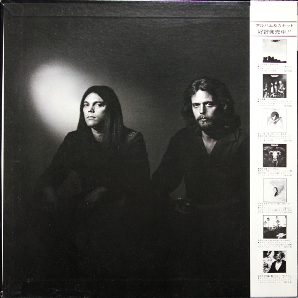 Eagles / The Long Run (LP)