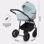 Детская коляска Rant Siena New 2 в 1 10 серый-ментоловый