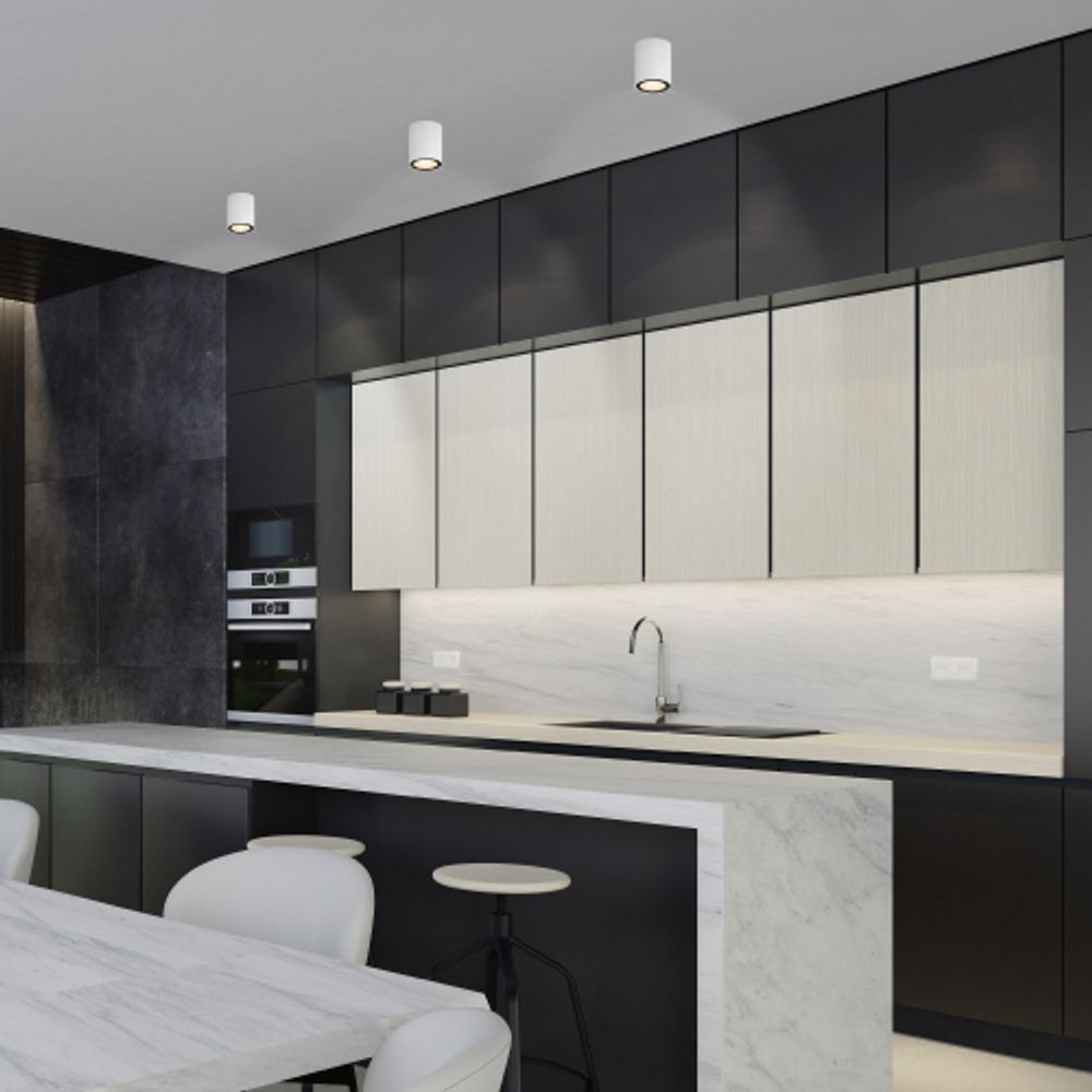 Светильник накладной ЭРА OL48 WH/BK под лампу MR16 GU10 IP44 черный/белый | Накладные светильники