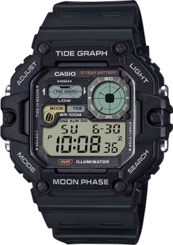 Часы Casio WS-1700H-1A