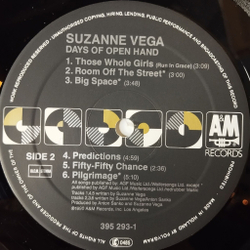 Винтажная виниловая пластинка LP Suzanne Vega Days Of Open Hand (Holland 1990) Rusted Pipe