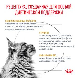 Уценка! Срок до 05.2024/ Корм для кошек, Royal Canin Urinary S/O Moderate Calorie, при предрасположенности к избыточному весу, при лечении мочекаменной болезни, после кастрации