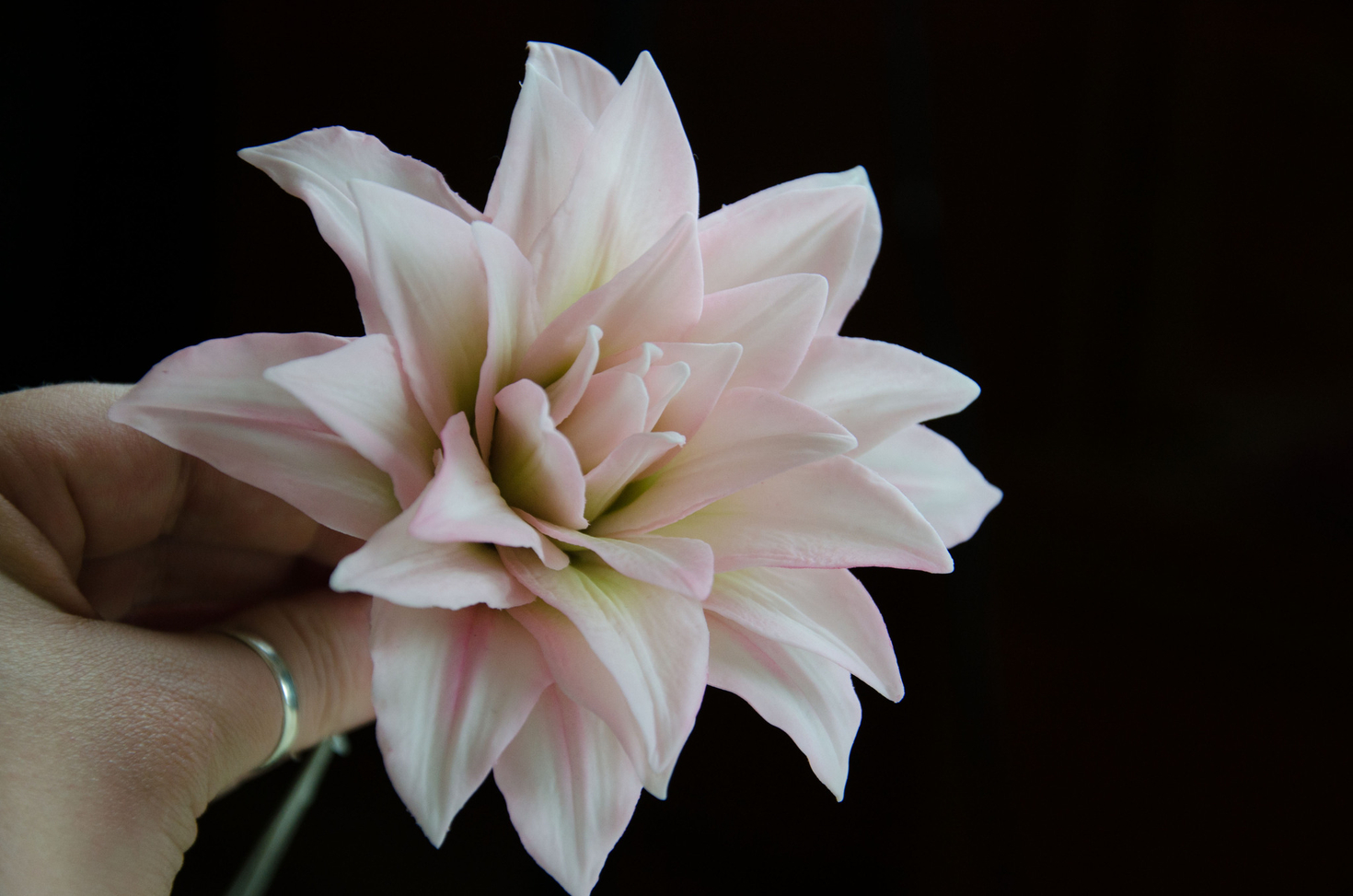 Лилия Дабл Плеже из холодного фарфора.