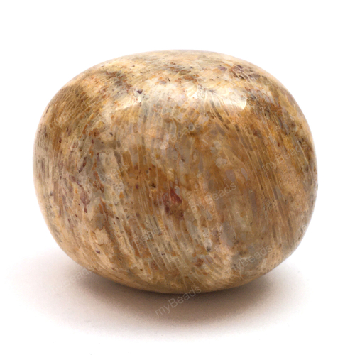 Коралл Хризантема 45х35 мм, крупный образец - галтовка