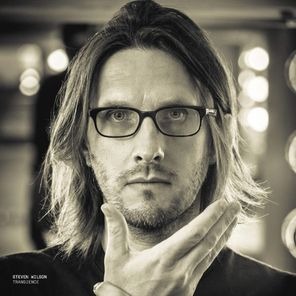 Steven Wilson / Transience (Clear Vinyl)(2LP)