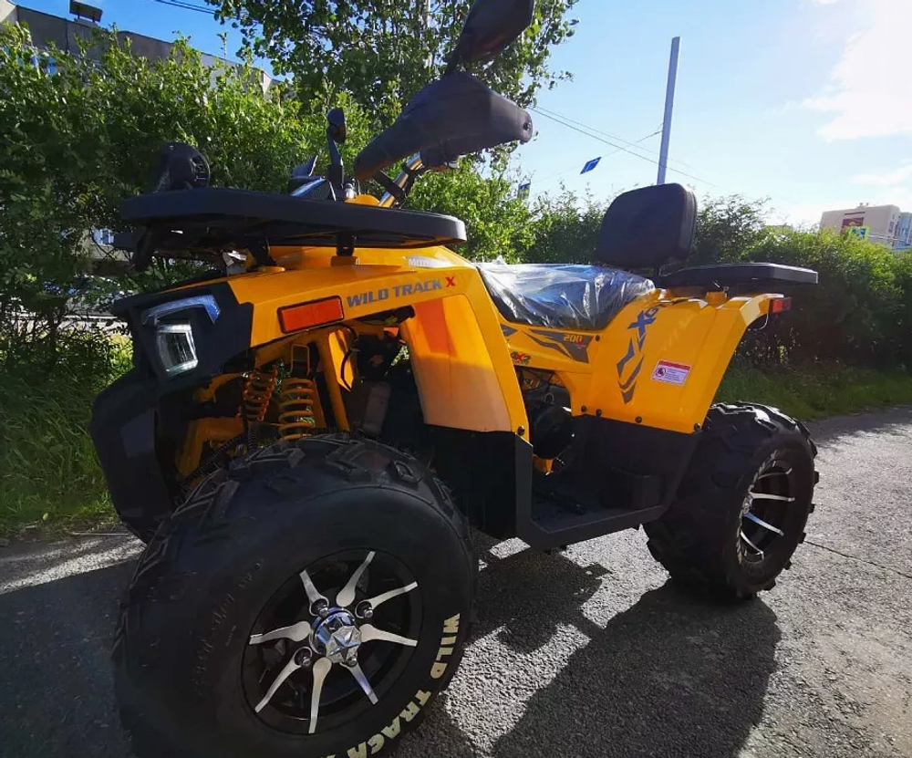 Квадроцикл MOTOLAND (МОТОЛЕНД) 200 WILD TRACK X PRO (баланс. вал)