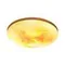 7726/EL PALE SN 115 Светильник пластик/мульти LED 70Вт 3000-6000К D475 IP43 пульт ДУ SUN