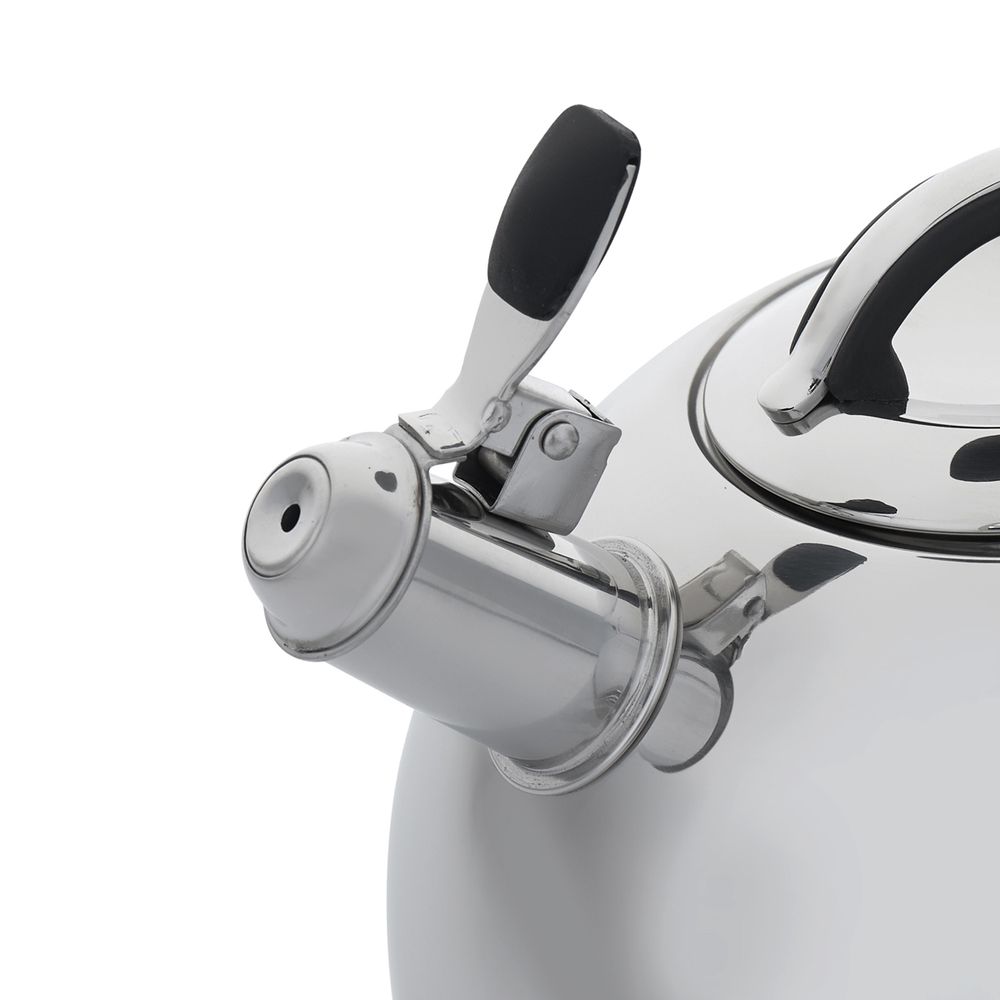 Чайник для плиты Gipfel Poesie 1122 2,5 л