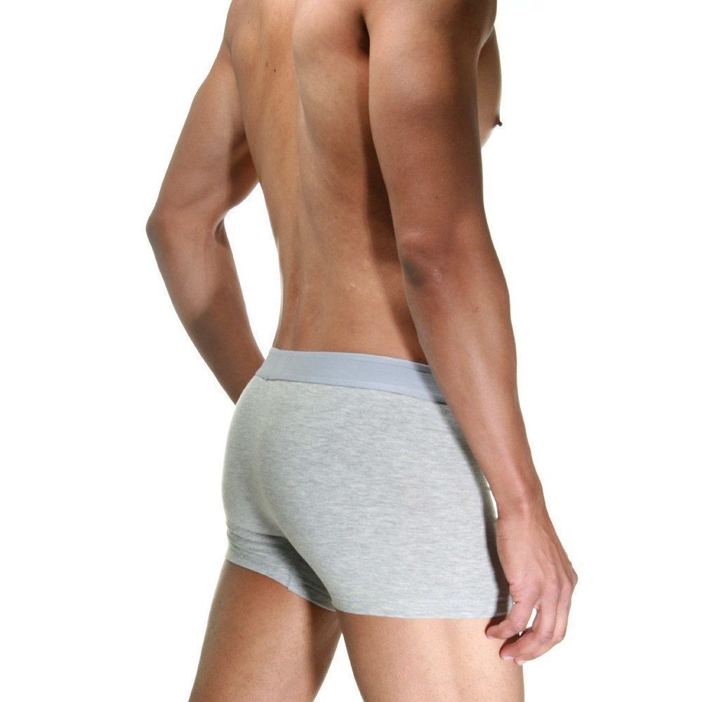 Трусы мужские боксеры серые DARKZONE DZN2103