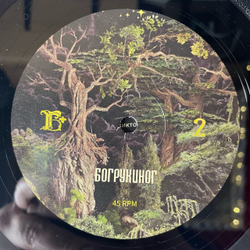 Виниловая пластинка LP БГ Богрукиног (Борис Гребенщиков) (Россия 2023)