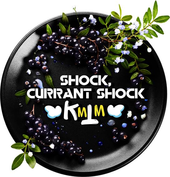 Black Burn - Shock Currant Shock (25г)